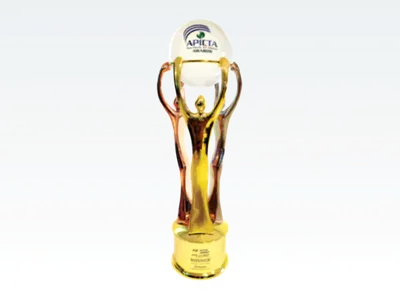 Security Solutions in Business Services Merit Award in the 21st Asia Pacific ICT Alliance (APICTA)