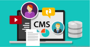 What is CMS?